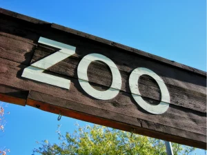 Best Zoo in the World
